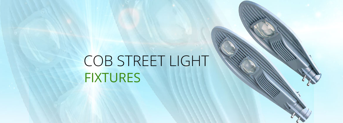 COB Street Light Fixtures